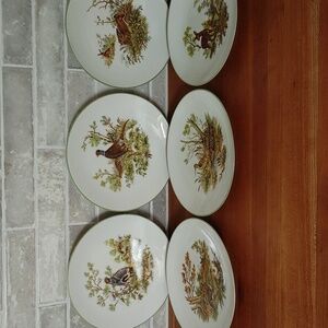 6 Bareuther Waldsassen Wildlife Transferware Porcelain Luncheon Plates